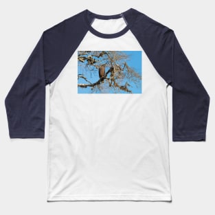 Crested Serpent eagle sitting on tree, Sri Lanka Baseball T-Shirt